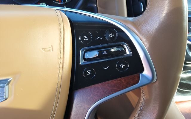 2017 Cadillac Escalade Platinum