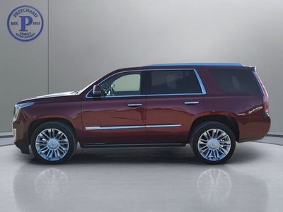 2017 Cadillac Escalade Platinum